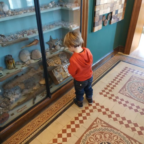 Et si le musée m’était conté ? Et si le musée m’était conté ?