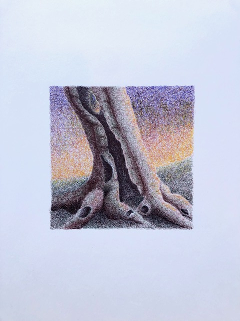 Atelier en famille <br> Atelier dessin avec Paolo Cardona