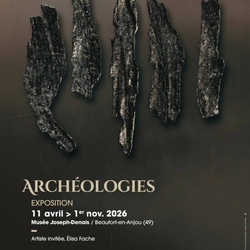 Archéologies <br> Artiste invitée Elisa Fache