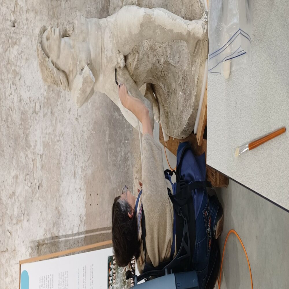 Restauration ouverte au public <br> Rencontre avec Marie Gouret