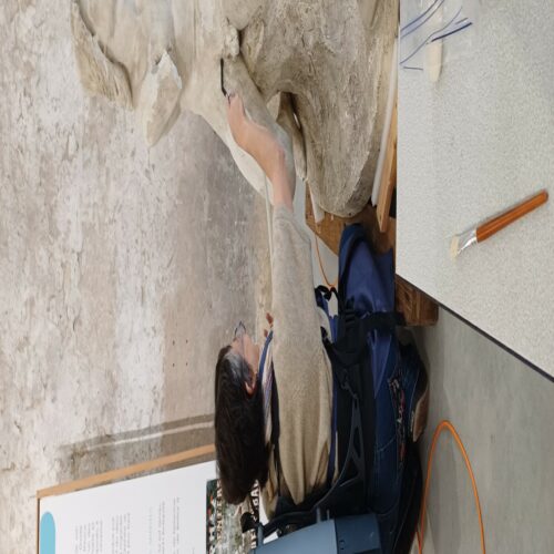 Restauration ouverte au public <br> Rencontre avec Marie Gouret