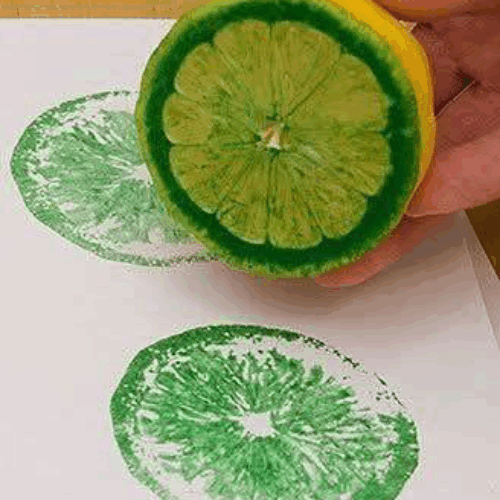 Animation famille 7-12 ans <br> Traces et empreintes